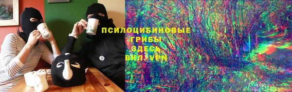 амф Корсаков